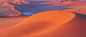 赛场风云：在激烈对抗中见证球员的战术艺术